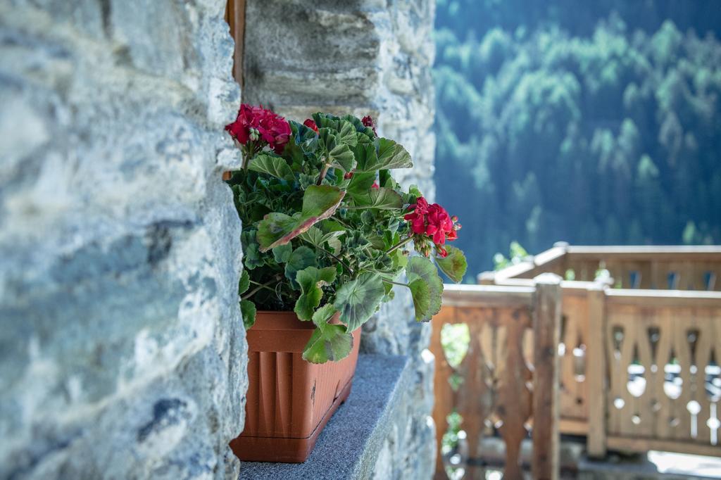 Apartmán Seconda Stella A Destra Valgrisenche Exteriér fotografie